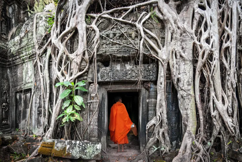 Rondreis Cambodja - Ta Prohm