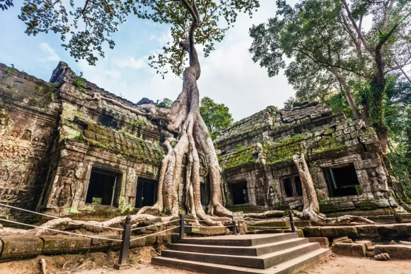 Rondreis Cambodja - Ta Prohm