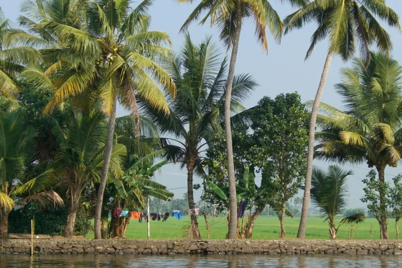 Rondreis Kerala backwaters
