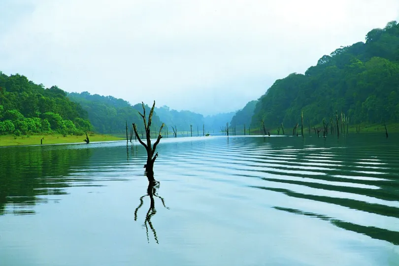 Rondreis Kerala Thekkady Periyar