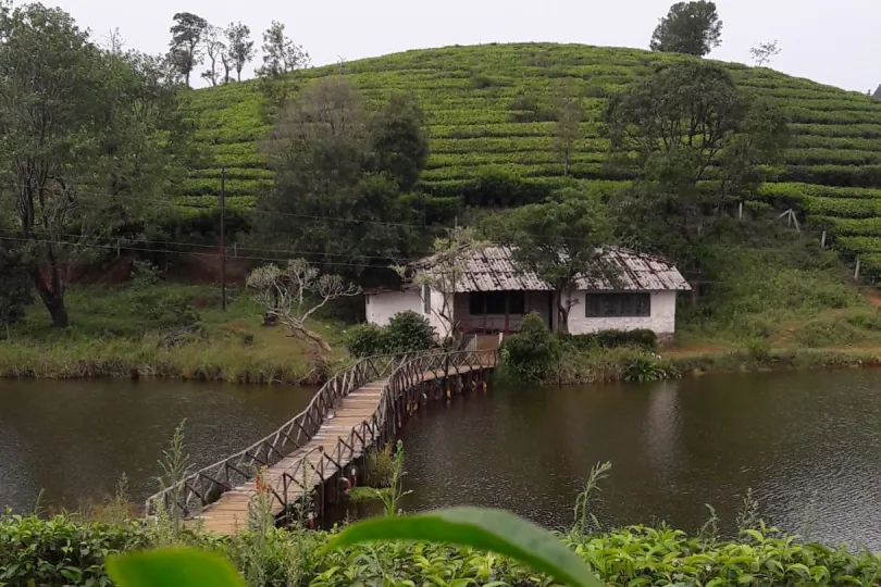 Rondreis India Kerala Vagamon