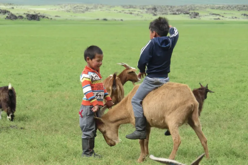 Familiereis Mongolie nomadenverblijf familie