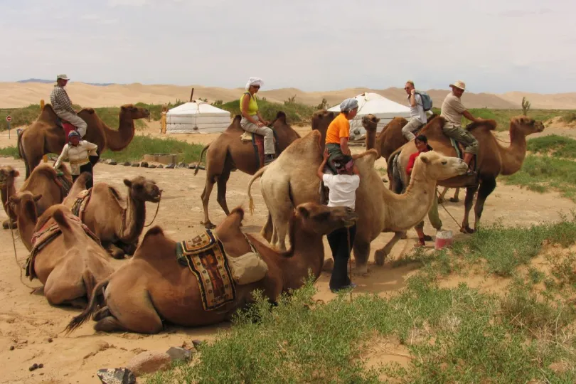 Vakantie Mongolie ritje op kamelen