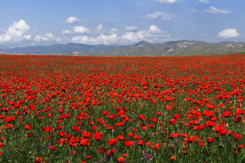 Oezbekistan reizen natuur