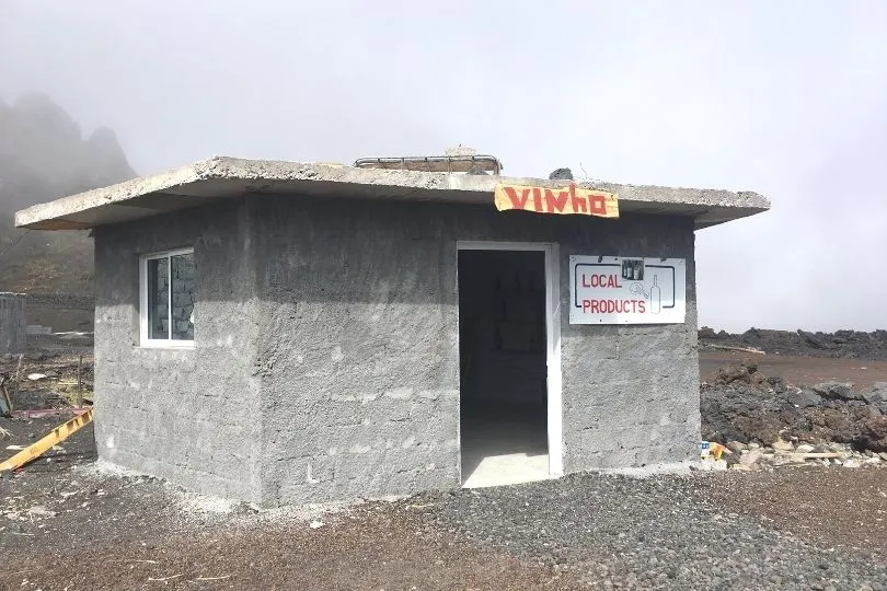 Lokaler Wein wächst am Pico do Fogo