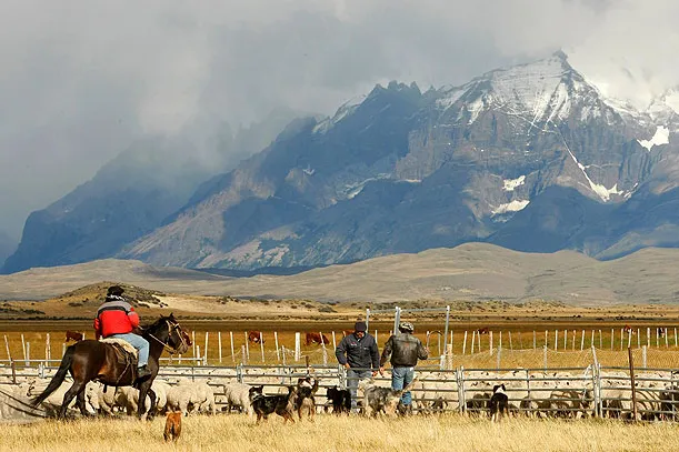Estancia schapenboerderij Chili