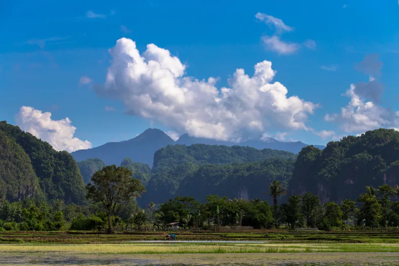 Berglandschap Sulawesi 