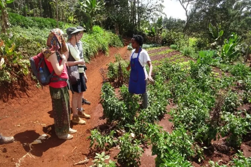 Excursies in Kenia