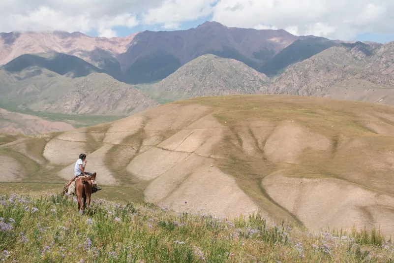 Kirgizië bergen paard