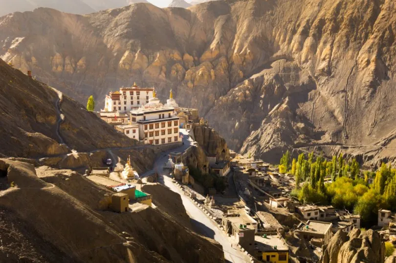 Ladakh reis