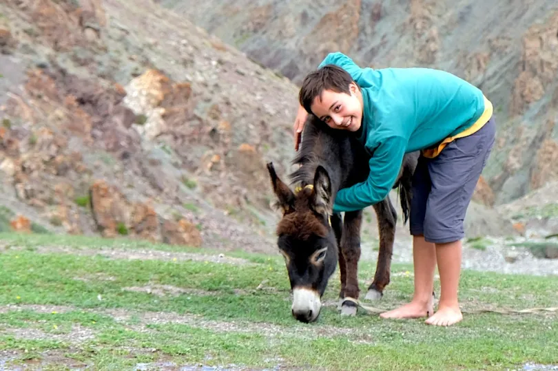 trekking in Ladakh 