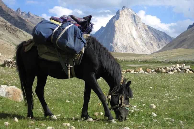 trekking in Ladakh 