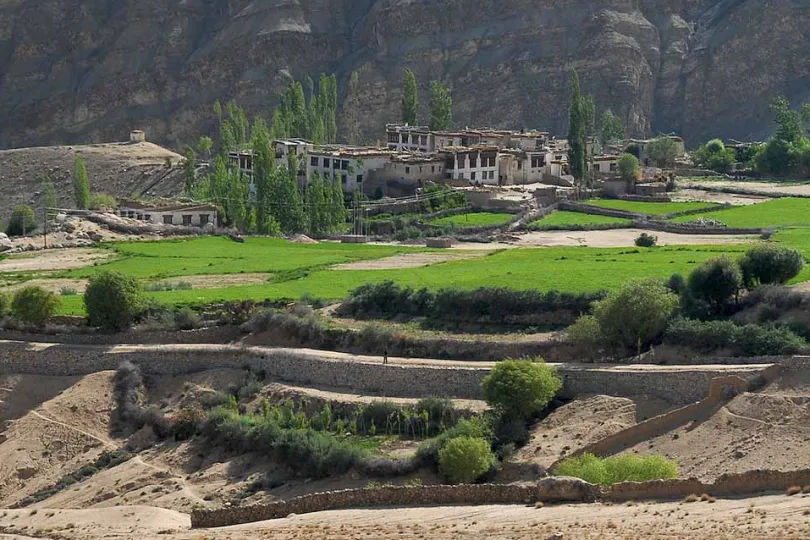 Ladakh reis trekking