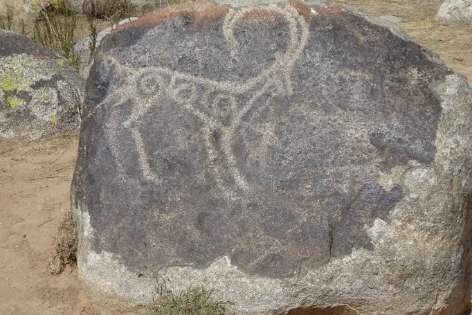 Kirgizië petroglyfen