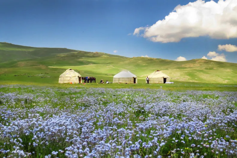 Kirgizië natuur yurts
