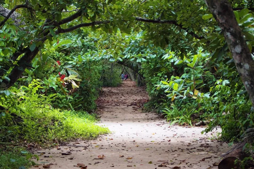 Weer Costa Rica nationale parken Cahuita