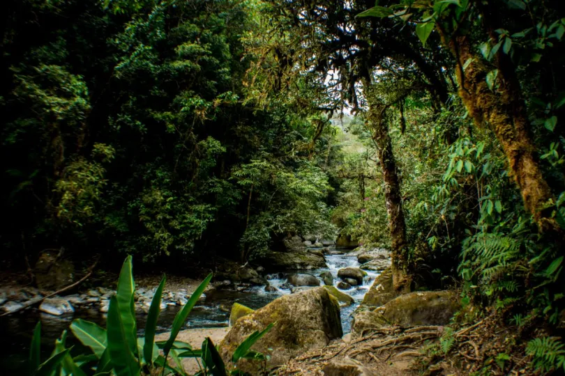 Natuurreis Costa Rica San Gerardo de Dota