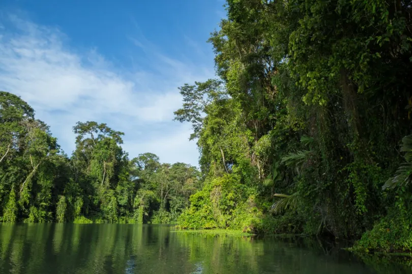 Weer Costa Rica jungle