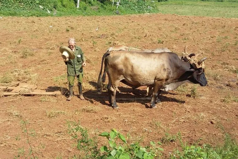 Ervaring Cuba met huurauto lokale boer