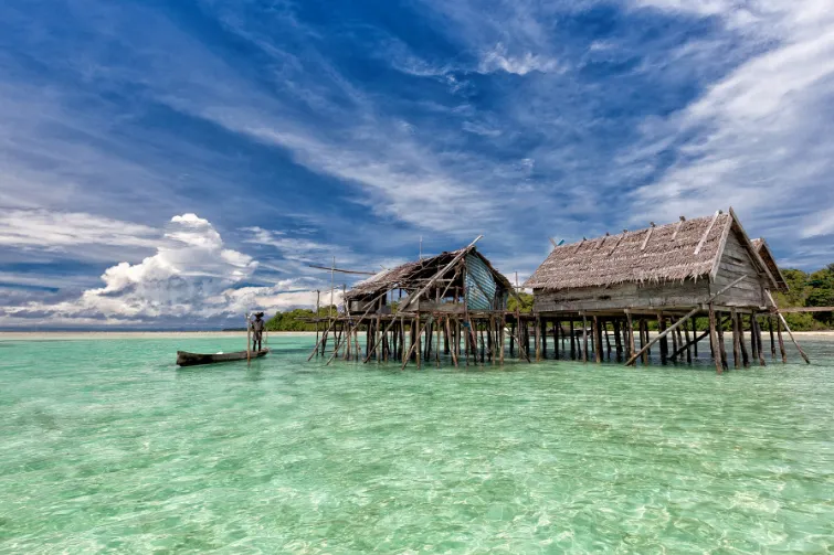nomanden Sulawesi