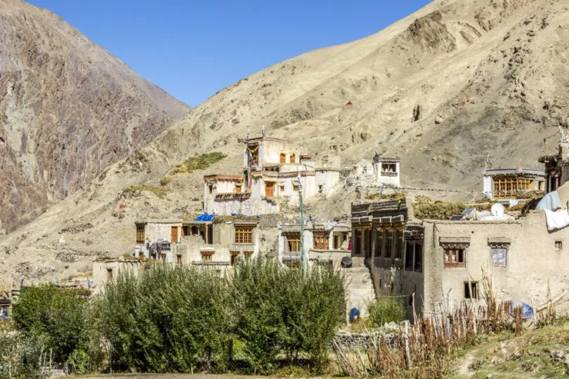 trekking in Ladakh 