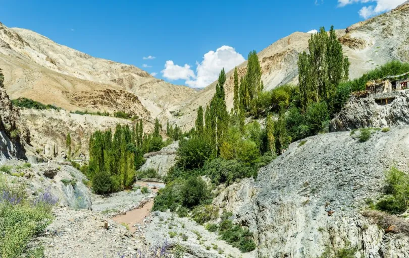 trekking in Ladakh 