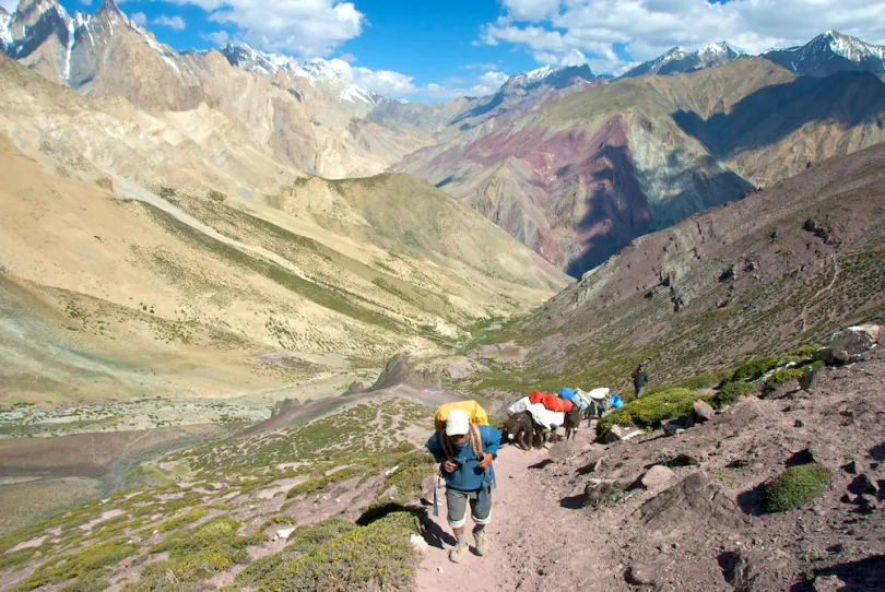 Ladakh trekking