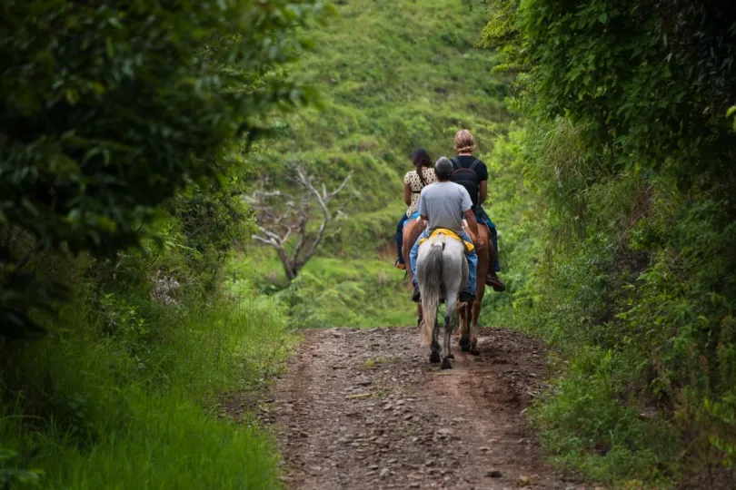 Nationale parken Costa Rica Monteverde paardrijden
