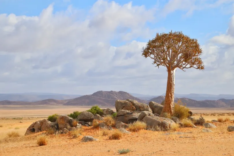 namaqualand