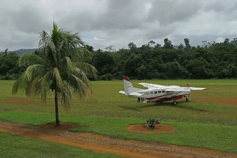 Vliegtuig in jungle