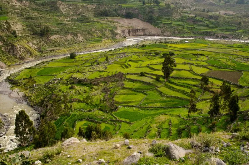 Hoogteziekte in Peru