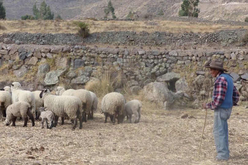 Coporaque Peru