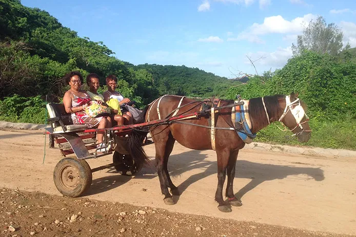 Reisverslag Cuba dames in paardenkar