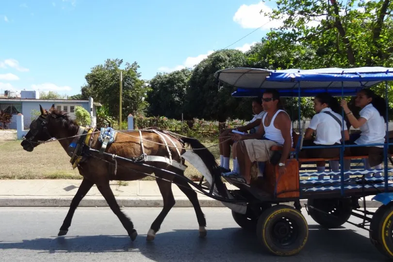 Veiligheid Cuba locals paardenkar