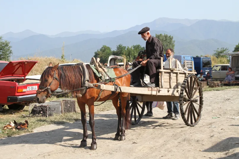 Georgië locals paard en wagen