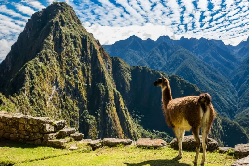 Machu Picchu