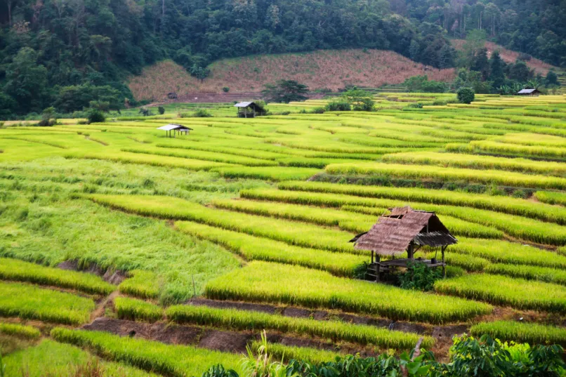 Verborgen parels Thailand