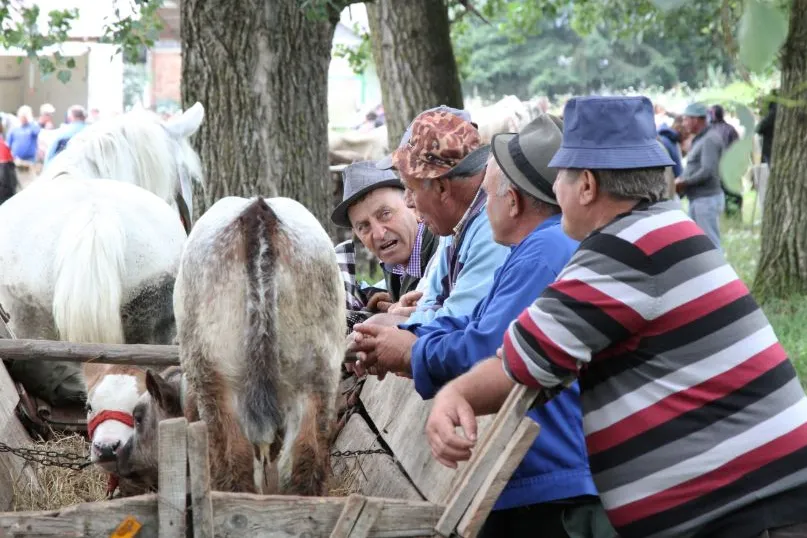 Roemenië veemarkt locals