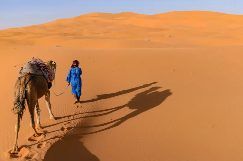 Marokko Erg Chebbi woestijn kameel