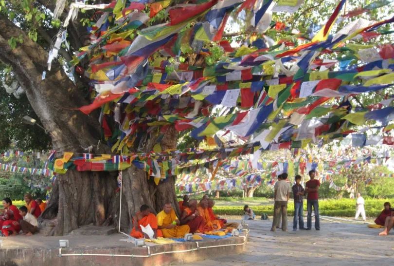 Nepal hoogtepunten