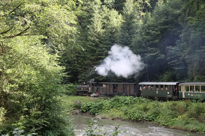 Roemenië Maramures stoomtrein