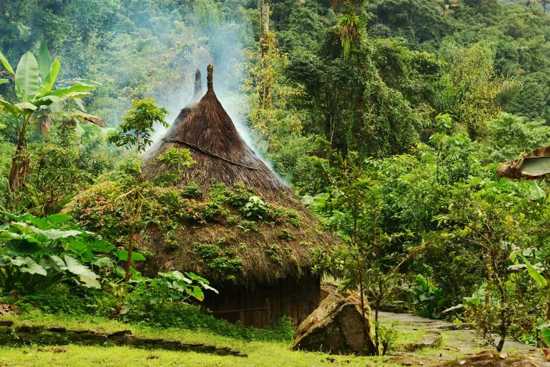 hut in de amazone