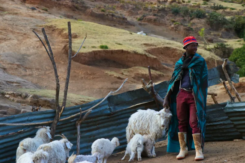 Zuid-Afrika local in Lesotho