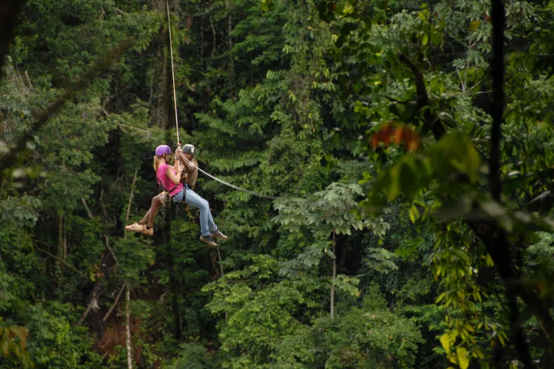 Suriname zipline jungle