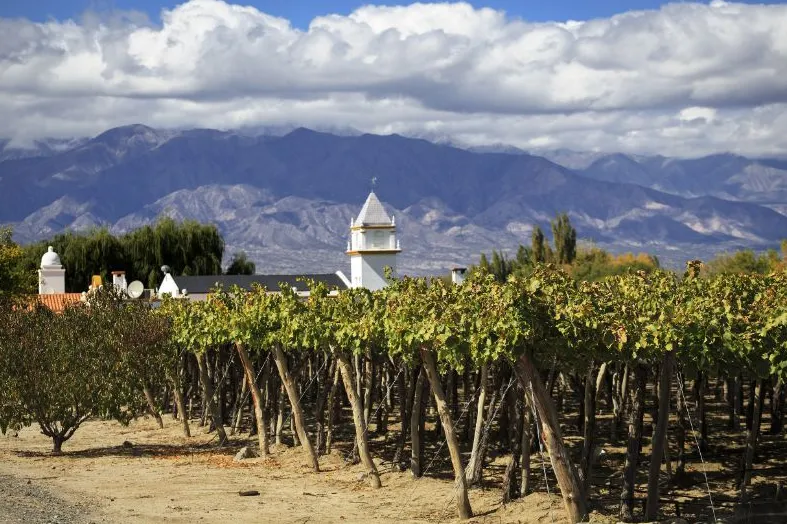 wijngaarden Argentinië