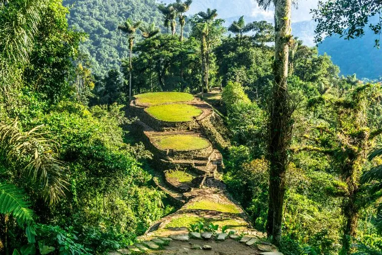 Oude ruines in jungle