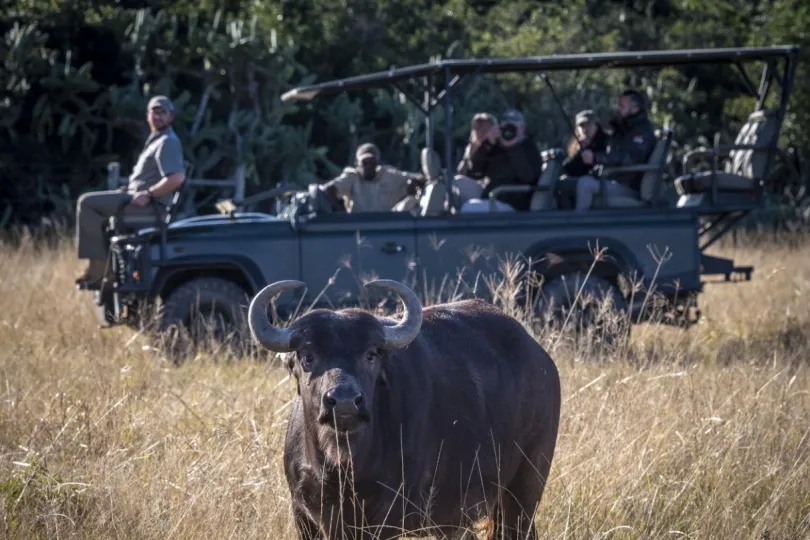 Luxe reis Zuid-Afrika safari Oostkaap