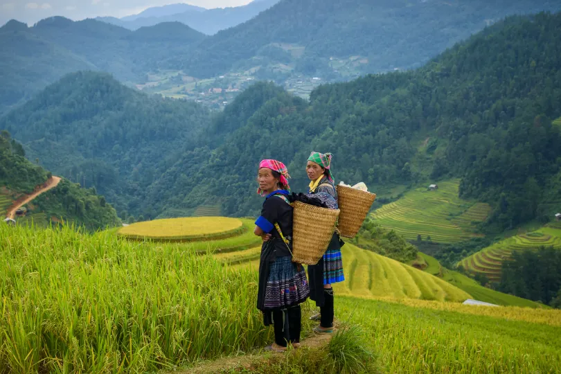 Individuele reizen Vietnam