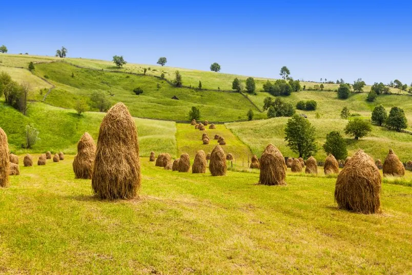 Roemenië Bucovina