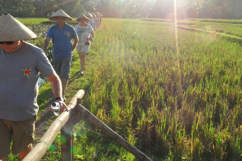 Indonesië rijstterras